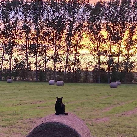 Ferienwohnung Kompass Nahe Der Ostsee Im Gruenen バート・ドーベラン エクステリア 写真